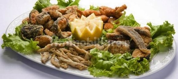 4-Zimmer Gewerbliche Immobilie in Reggio Emilia, Italy, Nr. 258529 14