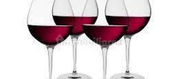 4-Zimmer Gewerbliche Immobilie in Reggio Emilia, Italy, Nr. 258529 28