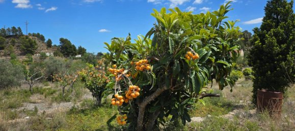 قطعة أرض في La Nucia, Spain رقم 42068 11