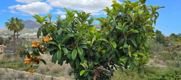 قطعة أرض في La Nucia, Spain رقم 42068 9