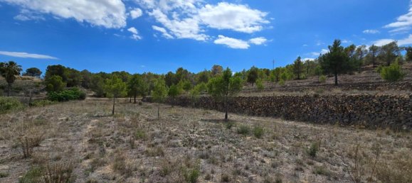 قطعة أرض في La Nucia, Spain رقم 42068 15