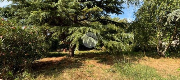 2 غرف نوم منزل في Bruno, Italy رقم 292604 43