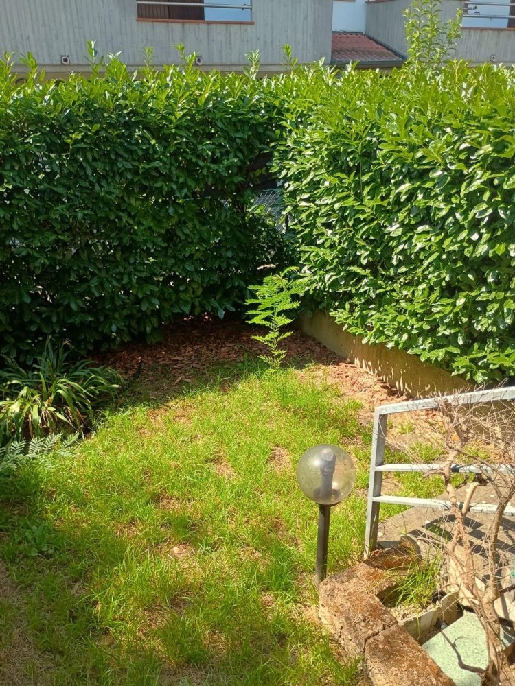 6 bedrooms House in Forlimpopoli, Italy No. 366832