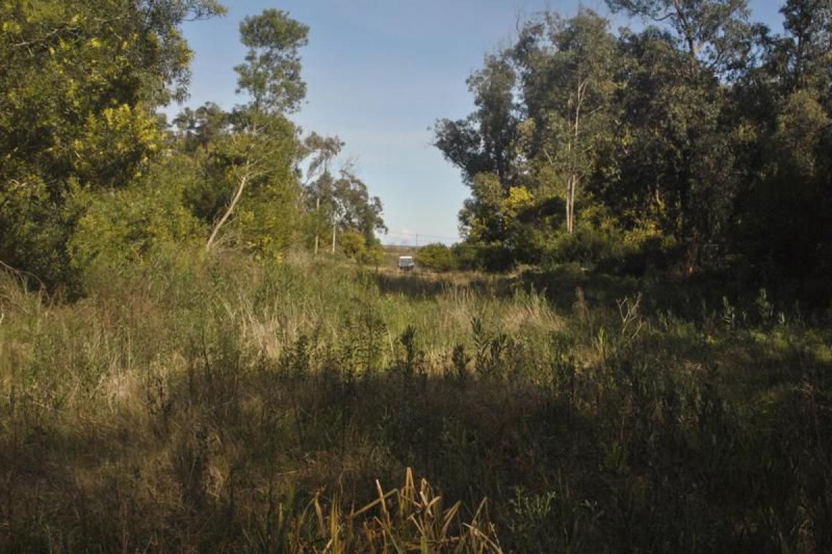  Land in Maldonado, Uruguay No. 14885