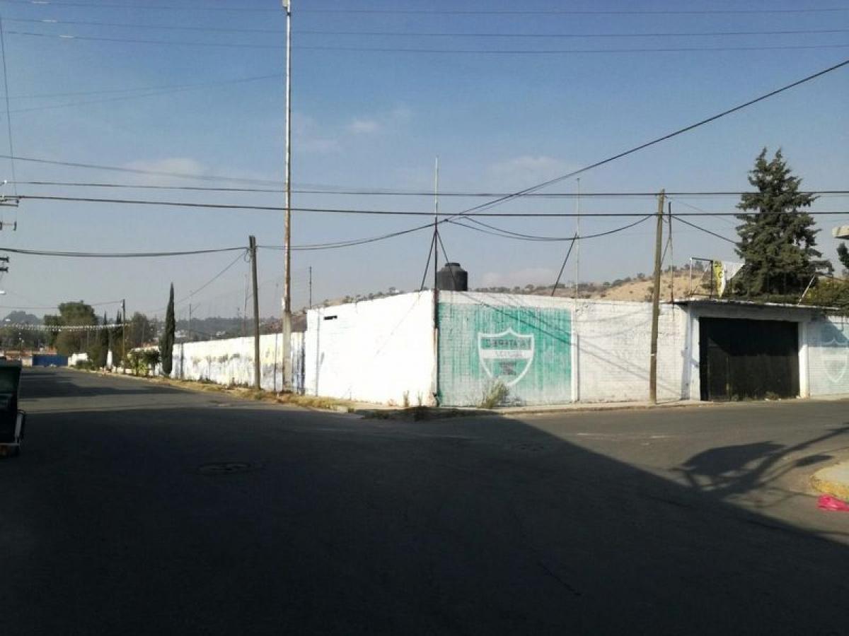  قطعة أرض في Ixtapaluca, Mexico رقم 203948