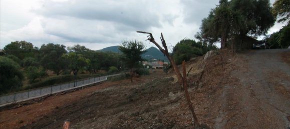 Hotel em Corfu, Greece 2250 m² N.º 5606 13