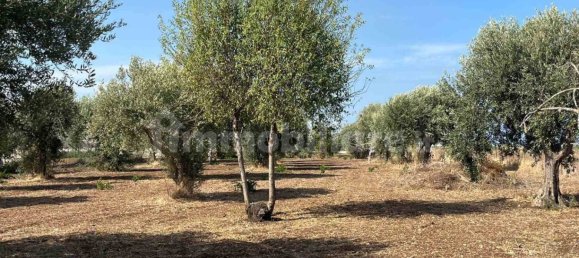  قطعة أرض في Pachino, Italy 5075متر مربع رقم 348890 11