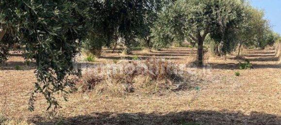  قطعة أرض في Pachino, Italy 5075متر مربع رقم 348890 12