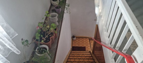 5 rooms House in Hof, Germany No. 128679 13