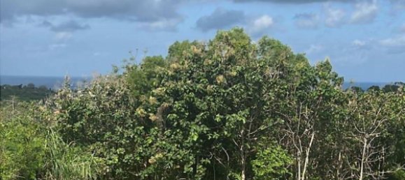  قطعة أرض في South Kuta, Indonesia 14356متر مربع رقم 4028 7