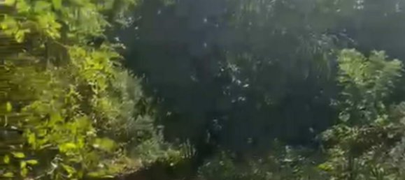  قطعة أرض في South Kuta, Indonesia 14356متر مربع رقم 4028 3