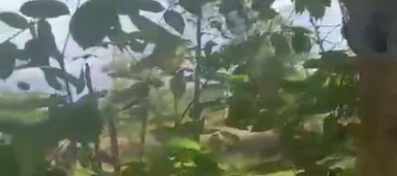  قطعة أرض في South Kuta, Indonesia 14356متر مربع رقم 4028 2