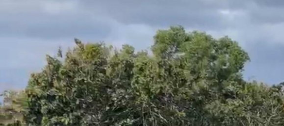  قطعة أرض في South Kuta, Indonesia 14356متر مربع رقم 4028 4