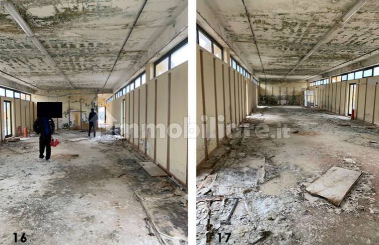 5-Zimmer Lagerhaus in Ruvo di Puglia, Italy, Nr. 387135