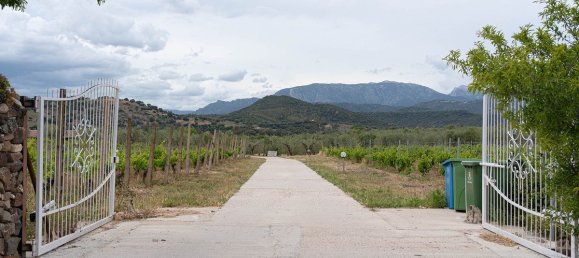 Casa T25 em Galtellì, Italy N.º 260349 30