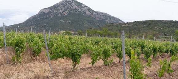 Casa T25 em Galtellì, Italy N.º 260349 29