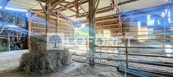 Casa de 1 dormitorio en Deux-Sevres, France No. 308836 9