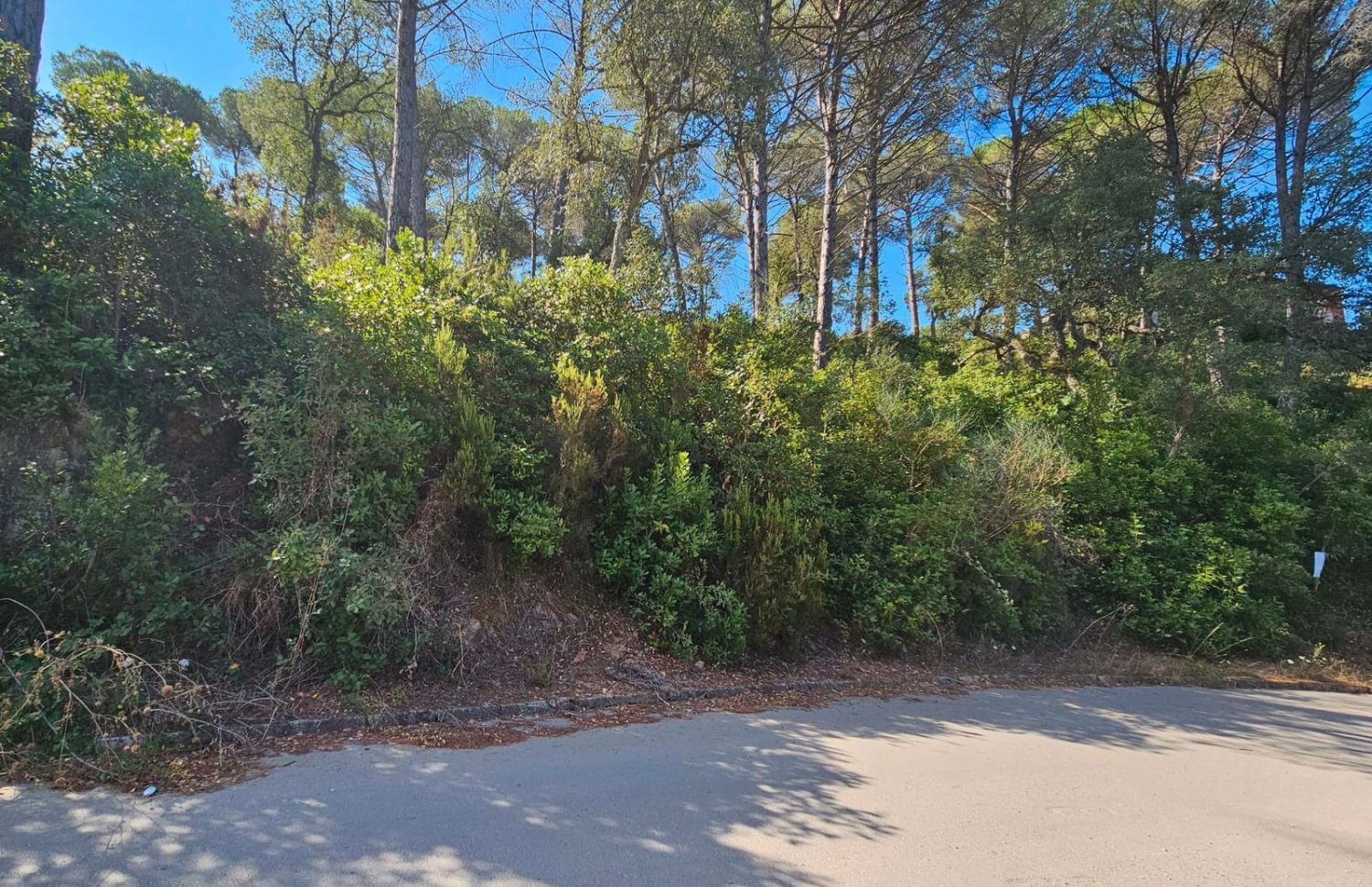  Land in Lloret de Mar, Spain No. 219385