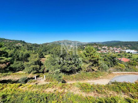 9180m² Land in Ponte de Lima, Portugal No. 77963