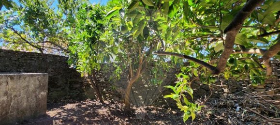 4 Schlafzimmer Haus in Meimoa, Portugal, Nr. 172082 15