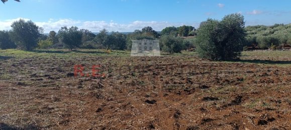 3 rooms House in Martina Franca, Italy No. 150782 5