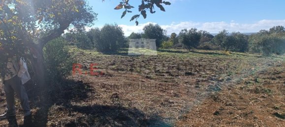 3 rooms House in Martina Franca, Italy No. 150782 6