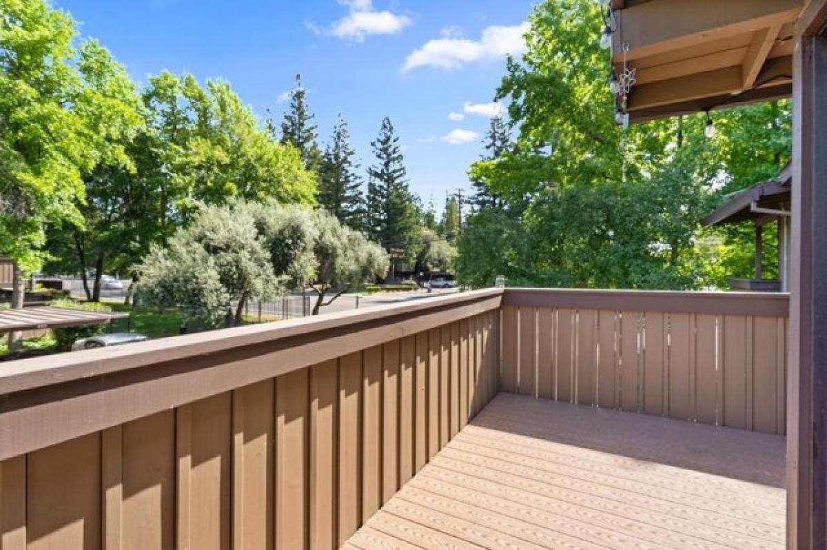 Studio in Sacramento, USA No. 408894