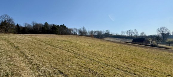 Terrain à Jennersdorf, Austria No. 129705 2