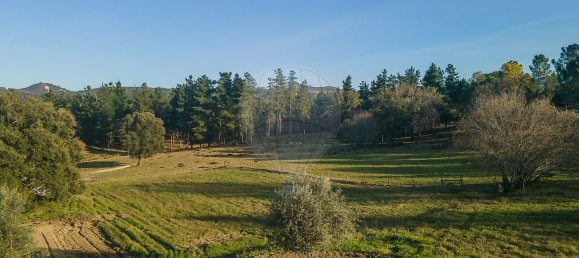 Casa T7 em Vila Nova de Poiares, Portugal N.º 21743 32