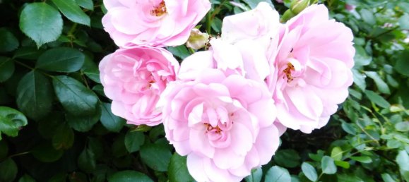 3 rooms Apartment in Augsburg, Germany No. 15123 17