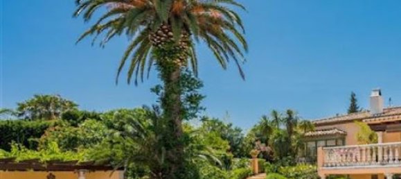 5 bedrooms Villa in Benahavis, Spain No. 141906 9