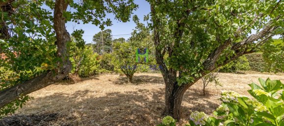 3 Schlafzimmer Villa in Bordeira, Portugal, Nr. 192196 30