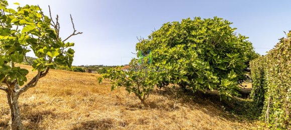 3 Schlafzimmer Villa in Bordeira, Portugal, Nr. 192196 29