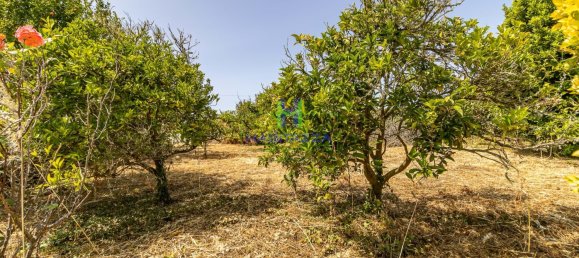 3 Schlafzimmer Villa in Bordeira, Portugal, Nr. 192196 32
