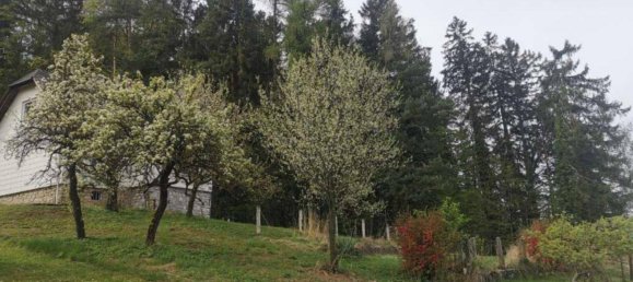 2 chambres Maison à Graz-Umgebung, Austria No. 122444 7