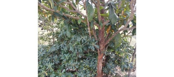 Casa T1 em Canillas de Aceituno, Spain N.º 144838 12