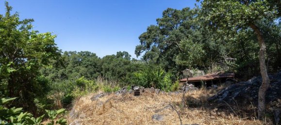 1 bedroom Land in Marmelete, Portugal No. 194316 15