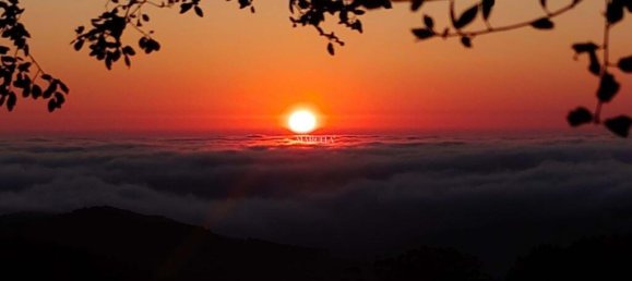 1 bedroom Land in Marmelete, Portugal No. 194316 17