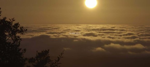 1 bedroom Land in Marmelete, Portugal No. 194316 19