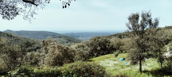 1 bedroom Land in Marmelete, Portugal No. 194316 2