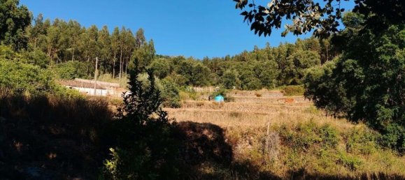1 bedroom Land in Marmelete, Portugal No. 194316 18