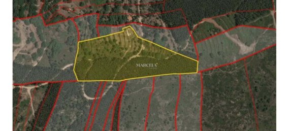 1 bedroom Land in Marmelete, Portugal No. 194316 21