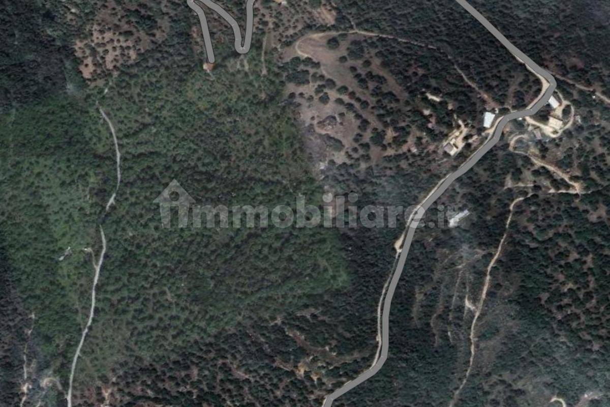 25000m² Land in Orgosolo, Italy No. 215976