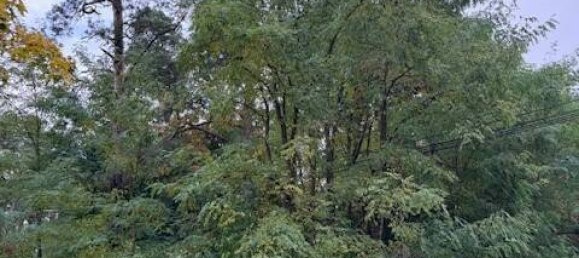 Земельный участок в Markisch-Oderland, Германия № 46858 3