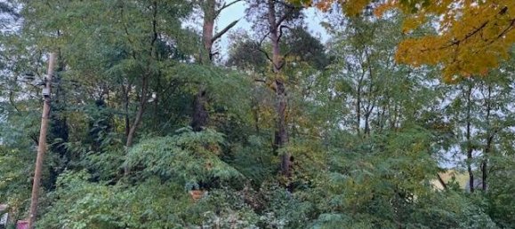 Земельный участок в Markisch-Oderland, Германия № 46858 2