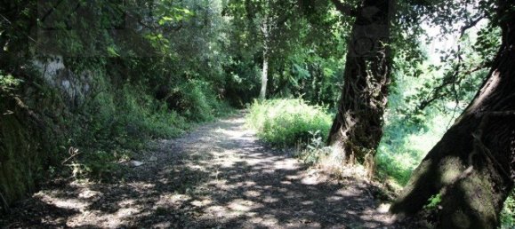 1 غرف نوم منزل في Noto, Italy رقم 360768 10