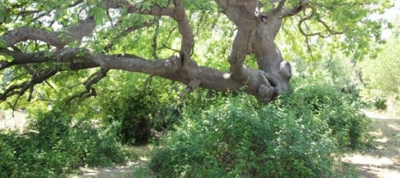 1 غرف نوم منزل في Noto, Italy رقم 360768 12