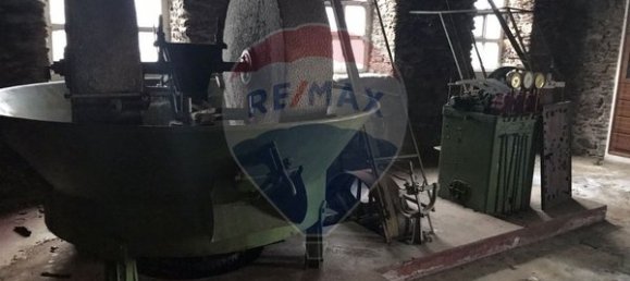 8 Schlafzimmer Haus in Mascarenhas, Portugal, Nr. 41205 7