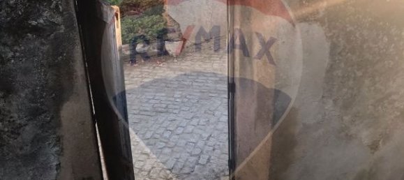 8 Schlafzimmer Haus in Mascarenhas, Portugal, Nr. 41205 4