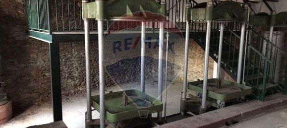 8 Schlafzimmer Haus in Mascarenhas, Portugal, Nr. 41205 16